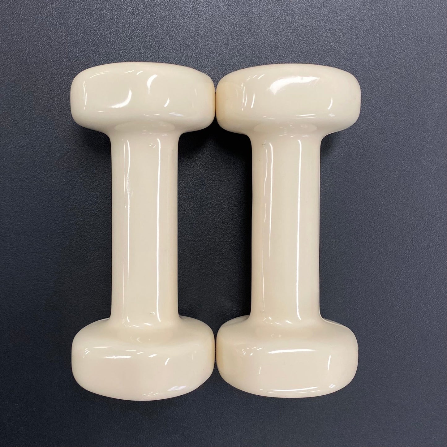 2kg Hand Held Weights- One pair