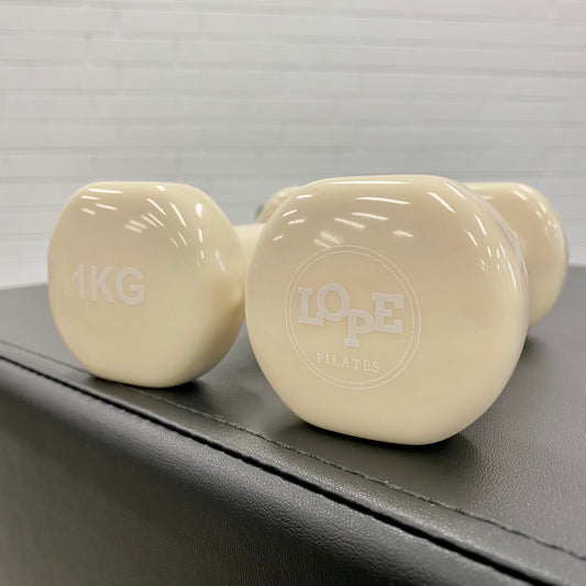 1kg Hand Held Weights- One pair