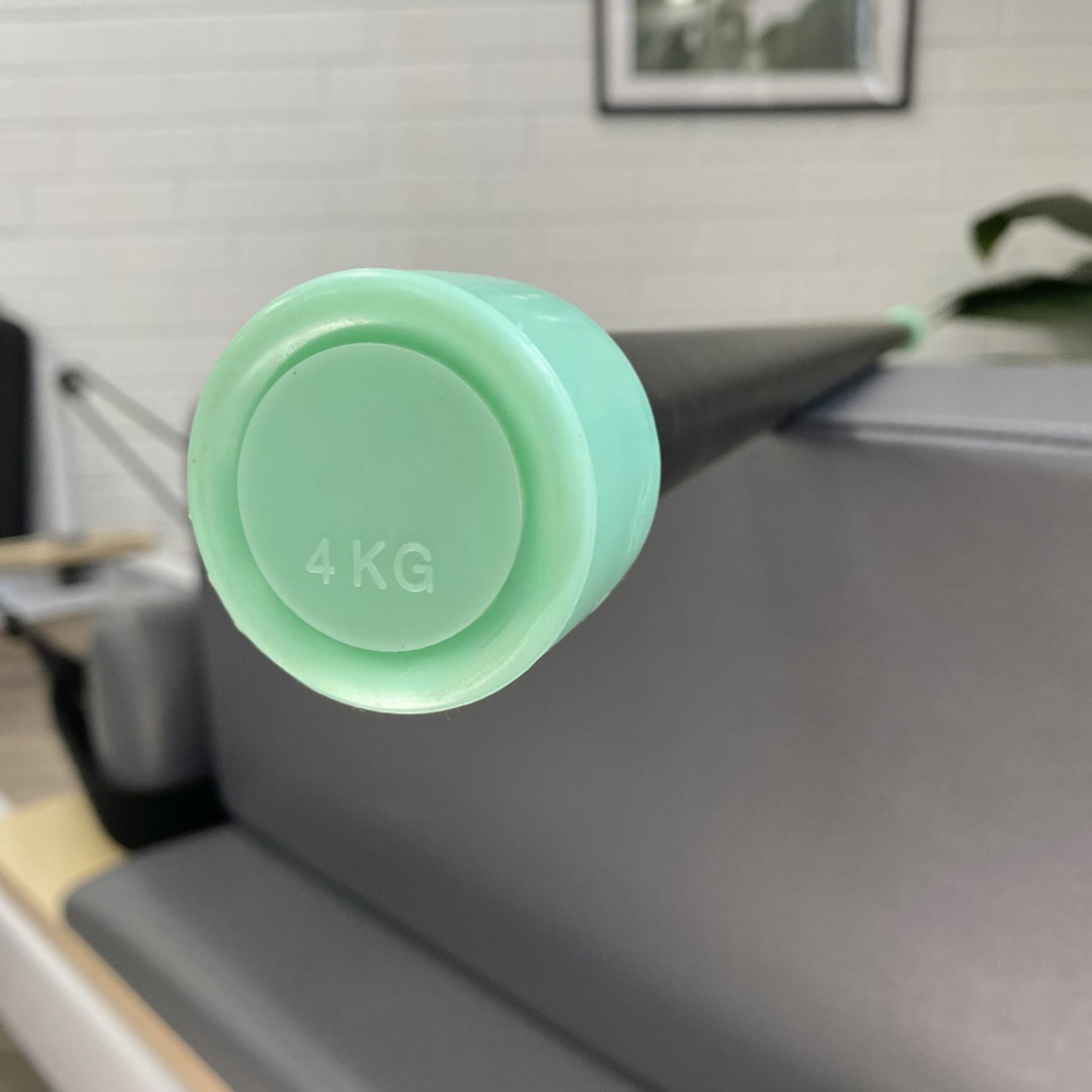 Weighted Bar 4kg Green